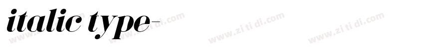 italic type字体转换
